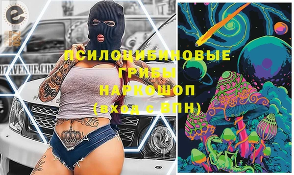 стафф Магас