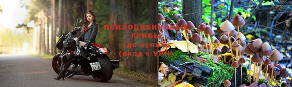 соль ск Липки